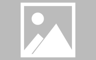 白山胖胖数字素材网站（胖胖数字素材网站）